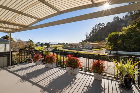 Photo of property in 110 Victoria Street, Thames, 3500