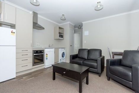 Photo of property in 58 Willoughby Street, Whitiora, Hamilton, 3200