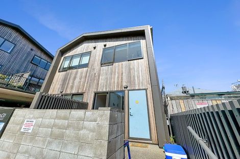 Photo of property in Aniva Terrace, 12 Arney Street, Newtown, Wellington, 6021