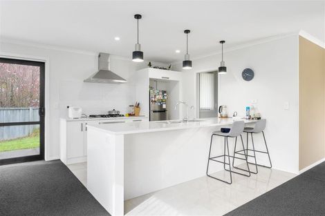 Photo of property in 287 Dixon Road, Fitzroy, Hamilton, 3206