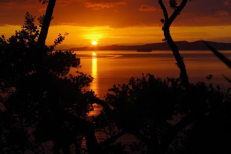 Photo of property in 59 Fidelis Avenue, Snells Beach, 0920