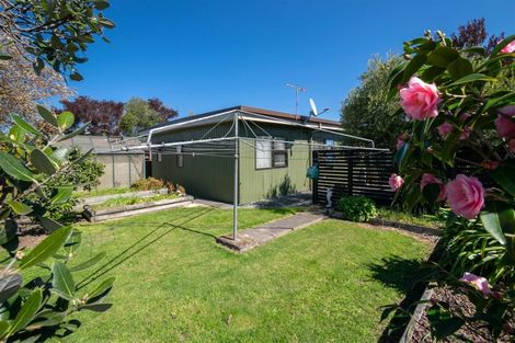 Photo of property in 43 Redwood Street, Blenheim, 7201