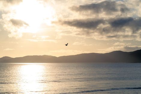 Photo of property in 201a Rosetta Road, Raumati South, Paraparaumu, 5032