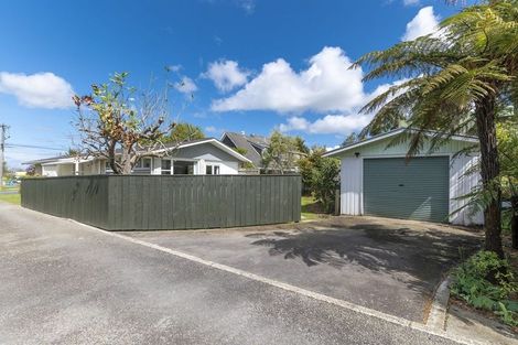 Photo of property in 59 Macarthur Street, Levin, 5510