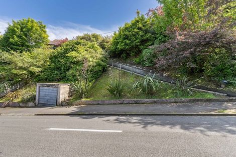 Photo of property in 38 Haywood Street, The Glen, Dunedin, 9011