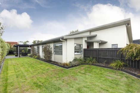 Photo of property in 4 Chestnut Close, Kelvin Grove, Palmerston North, 4414