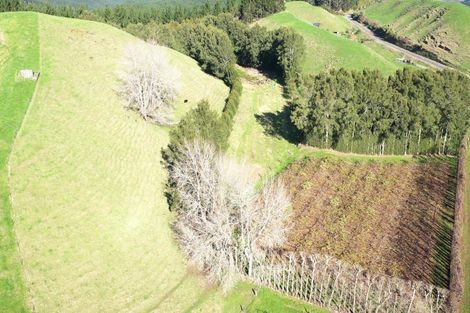 Photo of property in 809 Pikowai Road, Pikowai, Whakatane, 3194