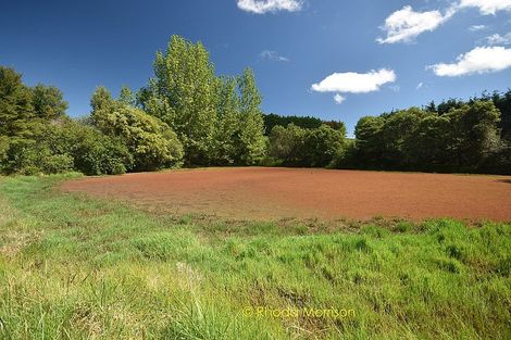 Photo of property in 245 Metcalfe Road, Matakohe, 0593