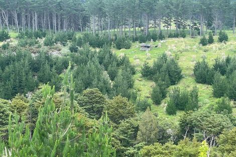 Photo of property in 609a Bickerstaffe Road, Maungaturoto, 0587