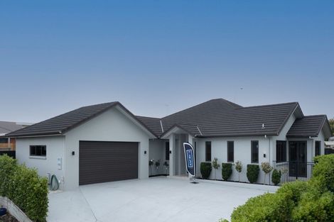 Photo of property in 14 Amberley Place, Flagstaff, Hamilton, 3210