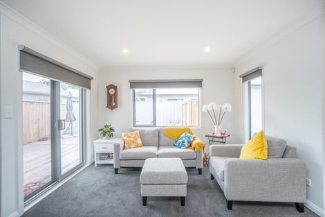 Photo of property in 33b Windsor Street, Terrace End, Palmerston North, 4410