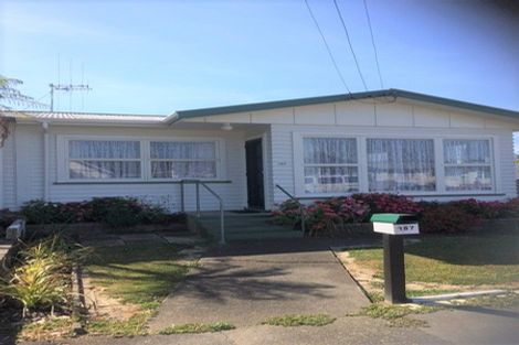 Photo of property in 187 Cambridge Street, Levin, 5510