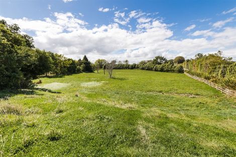 Photo of property in 125 Shirriffs Road, Awapuni, Palmerston North, 4412