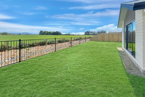 Photo of property in 35 Herridge Street, Woodend, 7691