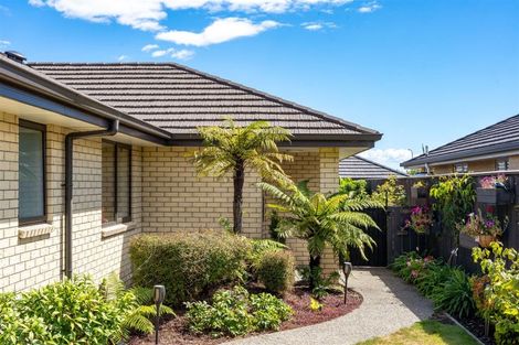 Photo of property in 10 Carmello Grove, Richmond, 7020