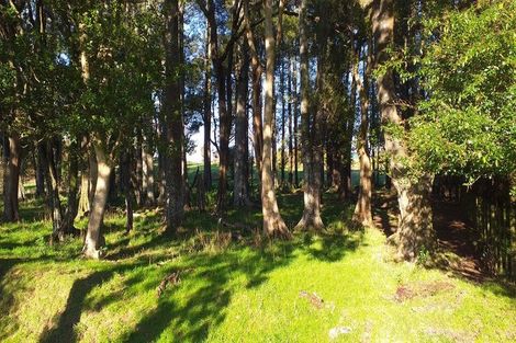 Photo of property in 1/69 Mckenzie Road, Mangere Bridge, Auckland, 2022