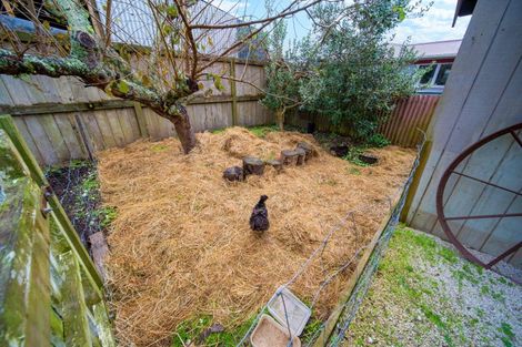 Photo of property in 53 King Street, Hikurangi, 0114