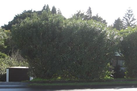 Photo of property in 76 Alfriston Road, Manurewa East, Auckland, 2102