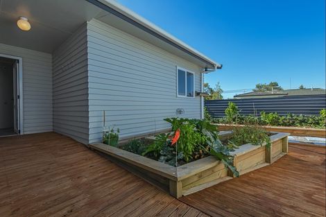 Photo of property in 19 Langley Avenue, Milson, Palmerston North, 4414