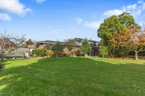 Photo of property in 8 James Street, Lincoln, 7608