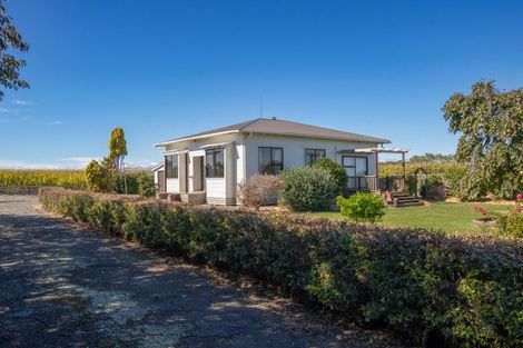 Photo of property in 421 Green Road, Rongotea, Palmerston North, 4476