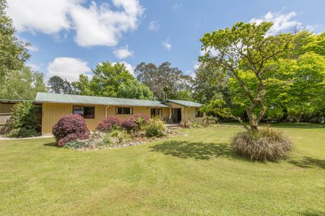 Photo of property in 2/4 Charles Street, Waddington, 7500