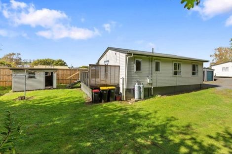 Photo of property in 49 Cramond Street, Tokoroa, 3420