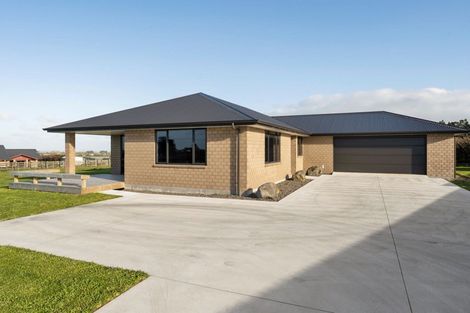 Photo of property in 235 Pembroke Road, Pembroke, Stratford, 4391