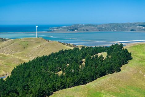 Photo of property in 363 Caseys Road, Lake Grassmere, Seddon, 7285