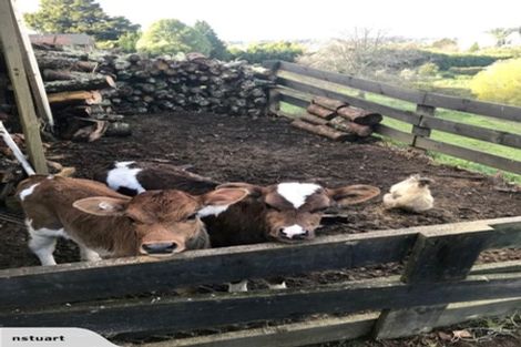 Photo of property in 1 Furniss Lane, Tauriko, Tauranga, 3110