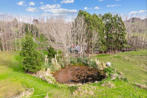 Photo of property in 227 Ararua Road, Waiotira, 0193