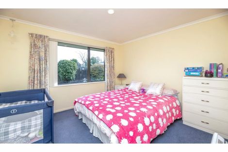 Photo of property in 44a Donegal Street, Belfast, Christchurch, 8051