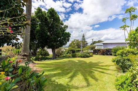 Photo of property in 45 Norton Street, Te Kopuru, 0391