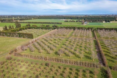 Photo of property in 973 Hoskyns Road, West Melton, Christchurch, 7671