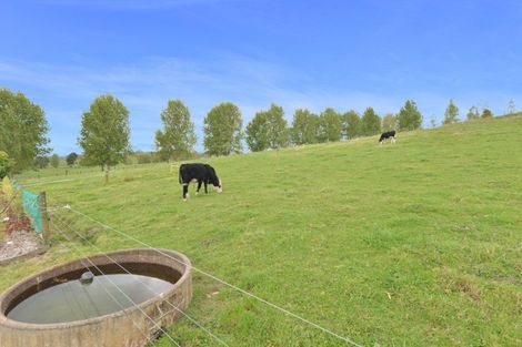 Photo of property in 168a Kokopu Block Road, Maungatapere, Whangarei, 0179