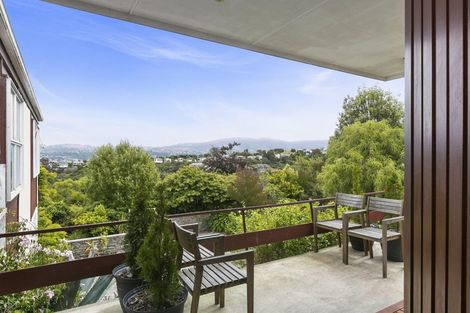 Photo of property in 33 Elliffe Place, Shiel Hill, Dunedin, 9013