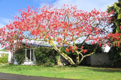 Photo of property in 205 Galway Place, Mayfair, Hastings, 4122