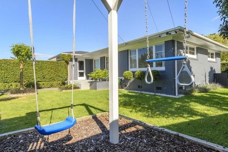 Photo of property in 176 Grange Road, Otumoetai, Tauranga, 3110
