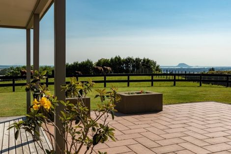 Photo of property in 198 Whakamarama Road, Whakamarama, Tauranga, 3179