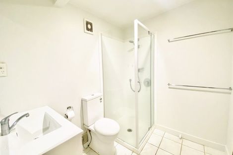 Photo of property in 26 Buchanan Street, Kingsland, Auckland, 1021