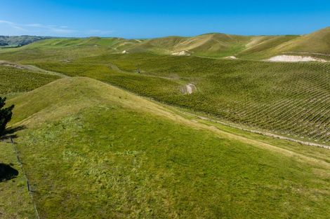 Photo of property in 363 Caseys Road, Lake Grassmere, Seddon, 7285