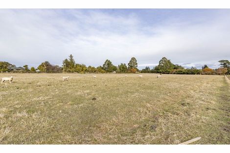 Photo of property in 16 Queen Street, Oxford, 7430