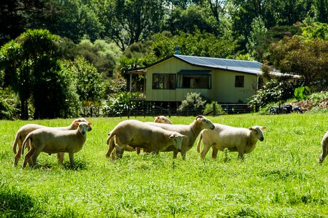 Photo of property in 1441 Waimata Valley Road, Waimata, 4073