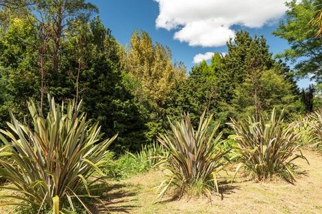 Photo of property in 49 Mangotahi Road, Thames, 3577