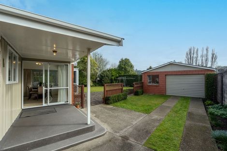 Photo of property in 107 Fitzroy Avenue, Fitzroy, Hamilton, 3206