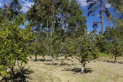 Photo of property in 70a Pariri Road, Taipa, Kaitaia, 0483