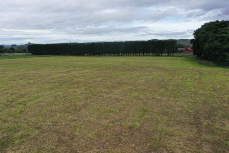 Photo of property in 22 Pahiatua Pongaroa Road, Pahiatua, 4982