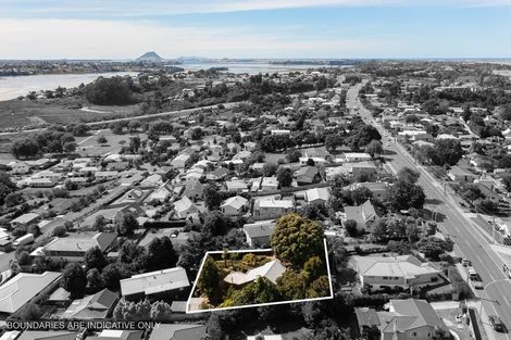 Photo of property in 147 Ohauiti Road, Hairini, Tauranga, 3112