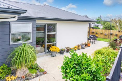 Photo of property in 1/4 Ross View Terrace, Dinsdale, Hamilton, 3204