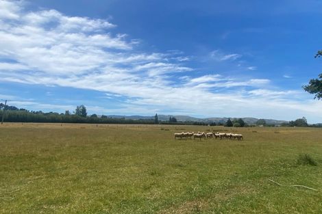 Photo of property in 333 Munro Road, Cheviot, 7382